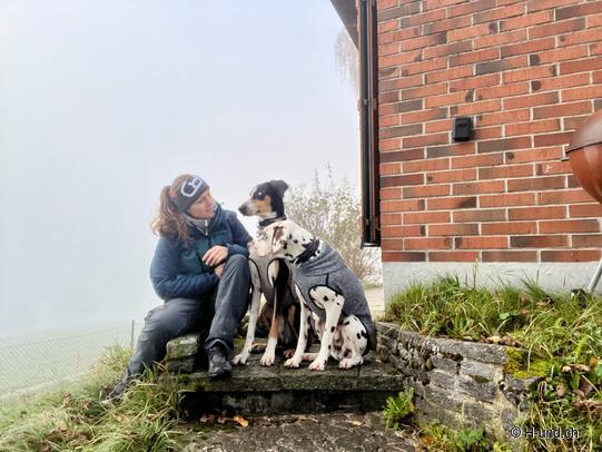 H-und.ch:Experience Switzerland with your dog