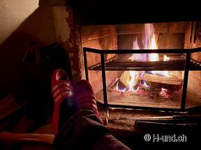 H-und.ch:Experience Switzerland with your dog