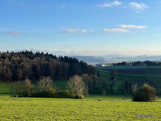 Welcome surprise in the Reka vacation apartment Hasliberg from Vitakraft.