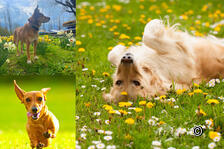 Spring awakening: Nature awakens from hibernation