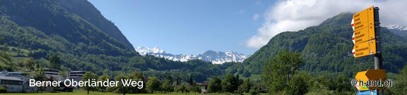 Sentiero dell'Oberland bernese: Cammino di Santiago con cane