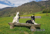 Jacob's Way Graubünden