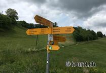 Amsoldingen Romont with dog