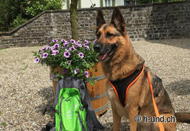 Meritata pausa da Onyx