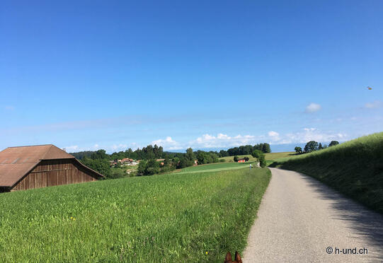 Schwarzenburg-Fribourg