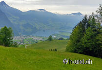 Way of St. James with dog Switzerland