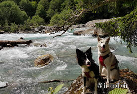 Tir sur le Vorderrhein
